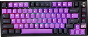 EPOMAKER TH80 SE Junta 75% Teclado Mecánico, NKRO Hot-Swap RGB Triple Modo Teclado Gaming con Poron/Espuma EVA, Programable, 4000mah Batería para E-Sport/Win/Mac(Black Purple, Flamingo Switch) EPOMAKER TH80 SE Junta 75% Teclado Mecánico, NKRO Hot-Swap RGB Triple Modo Teclado Gaming con Poron/Espuma EVA, Programable, 4000mah Batería para E-Sport/Win/Mac(Black Purple, Flamingo Switch)